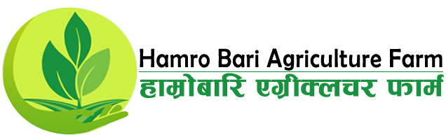 Hamro Bari Agriculture Farm Hamro Bari Agriculture Farm